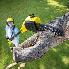 Best Pest Control for Lawns  in South Carthage, TN