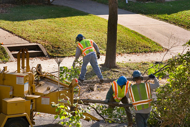 Best Hazardous Tree Removal  in South Carthage, TN