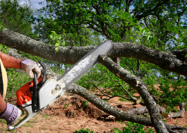 Mulching Services in South Carthage, TN